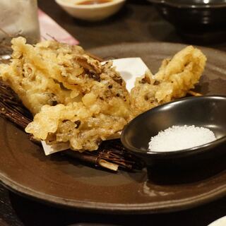 東京魚河岸バル 吉今_1