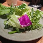 オオクサ - サラダ