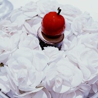 レストランエール - 幸せの林檎