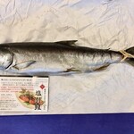 越後村上 うおや - 丸一匹の「塩引き鮭」