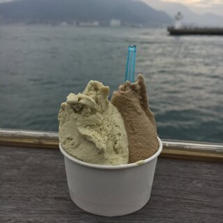 ジェラテリア バンビーニ - 料理写真:ジェラート2種 450円！ピスタチオとほうじ茶