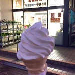 Michi No Eki Takaoka - 醍醐ビタミンソフトクリーム