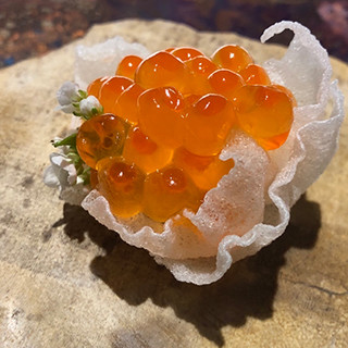 ラ・ヴァガボンド_1