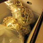 新橋 纏 - 平子（ひらご）の煮干し