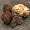 モンプチコションローズ - メイン写真: