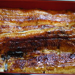 鮒与 - うな重（特上）