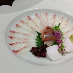 八寸 - 刺身  鯛  シマアジ  烏賊