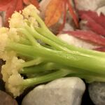 カーサ カルマ - 