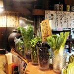 Sakagura Hatsumago - 店内