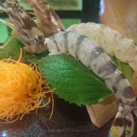 博多料亭 稚加榮 - 