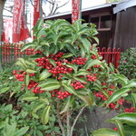 ラーメン二郎 - 赤い実も鮮やかに