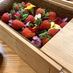 kitchen俊貴 - 綺麗!!
      可愛い♡