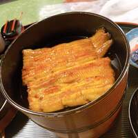 うなぎ秋本 -  うなぎ秋本 -