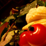 カフェ テラス ヴェルト - 