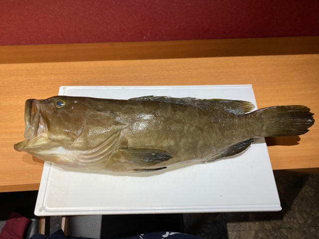 魚々魚かさまつ（【旧店名】魚河岸紀翔） - 帯広（居酒屋）の写真