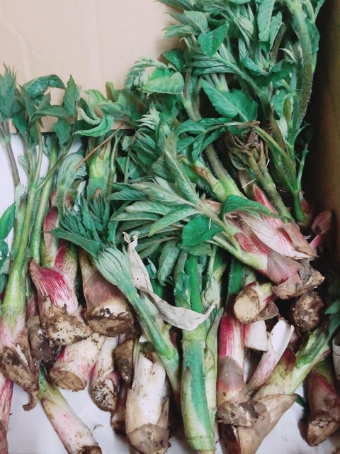 魚々魚かさまつ（【旧店名】魚河岸紀翔） - 帯広（居酒屋）の写真