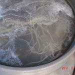 地球屋 - 大釜の茹で上げ