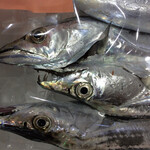 Kounoji - とびきり鮮度の良い太刀魚が小800円、大1,500円