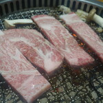 肉卸直送 焼肉 たいが - 