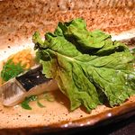 神保町 傳 - 鰆の焼き物　菜の花の葉添え