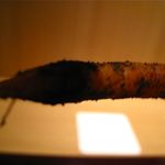 神保町 傳 - 泥がついたままです（汗）