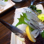 肴 - さよりの姿造り