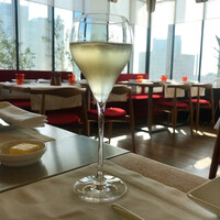 Benoit Alain Ducasse - 