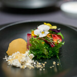 プレゼンテ スギ - 2019.12 Sugi畑をお皿に乗せて