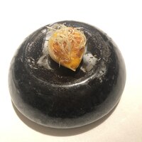 レストランエール - 