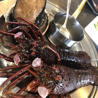 ニュージョイブル - 