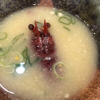 ニュージョイブル - 