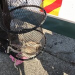 海鮮料理 磯 - イイでぱんぱん(多分)