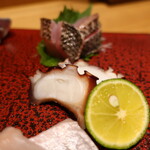 こころや - 地ダコ