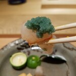 肉屋 田中 - ボタン海老の昆布締め