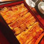 五代目 野田岩 麻布飯倉本店 - 