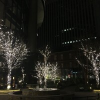 グリルうかい 丸の内店 - 