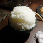 ぶんご共栄食堂 - ご飯(マンガ盛り)
