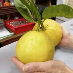 美加登屋酒店 - 