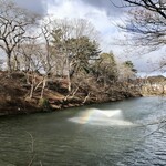 小判寿司 - ［2019/12］店の近くには棚倉城跡があります。噴水に虹がかかってきれいです。