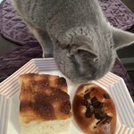 ブーランジェリー セイジアサクラ - 伝次郎来ました！