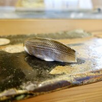 小判寿司 棚倉 - ［2019/12］鮨おまかせ・藍(6600円)・寿司④ 佐賀産こはだの握り