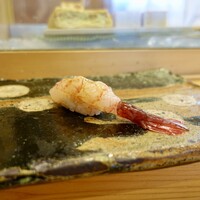 小判寿司 棚倉 - ［2019/12］追加① 相馬産ぶどうえびの握り