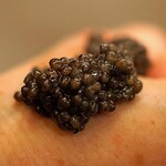 麻布 幸村 - OSETRA(オセトラ) のキャビア