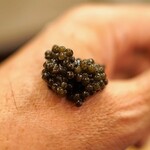 麻布 幸村 - Caviar Places のキャビア