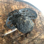 イル ギオットーネ - 