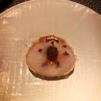 アルヴェアーレ - 