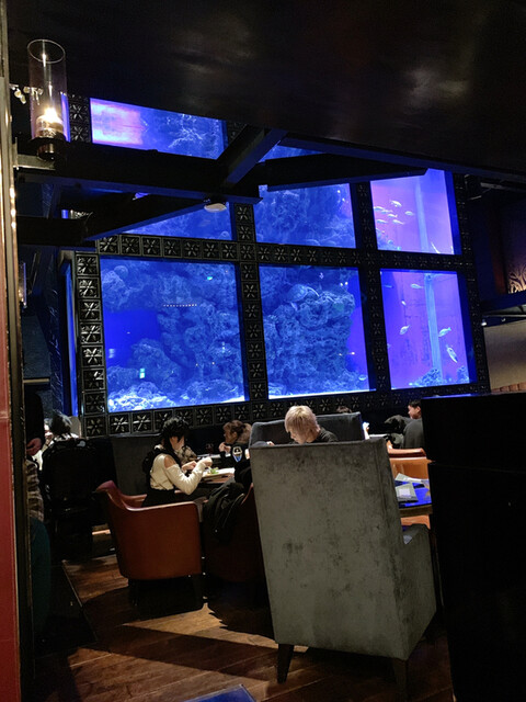 ラグシス Aqa Restaurant Bar Luxis 恵比寿 ダイニングバー ネット予約可 食べログ ラグシス Aqa Restaurant Bar Luxis 恵比寿 ダイニングバー ネット予約可 食べログ