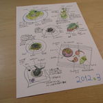 SALONE 2007 - 恒例の可愛い手描きイラスト・メニュー