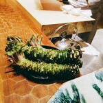 初音鮨 - 本ワサビ