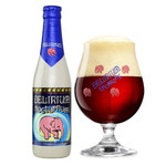 Delirium Noctorium 330ml